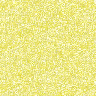 Ditsy Daisy Yellow DV2155 - Devonstone